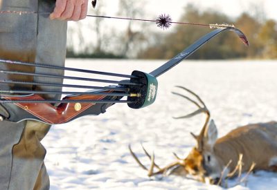 best recurve bows for hunting